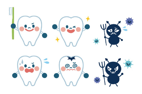 歯の寿命が短くなる