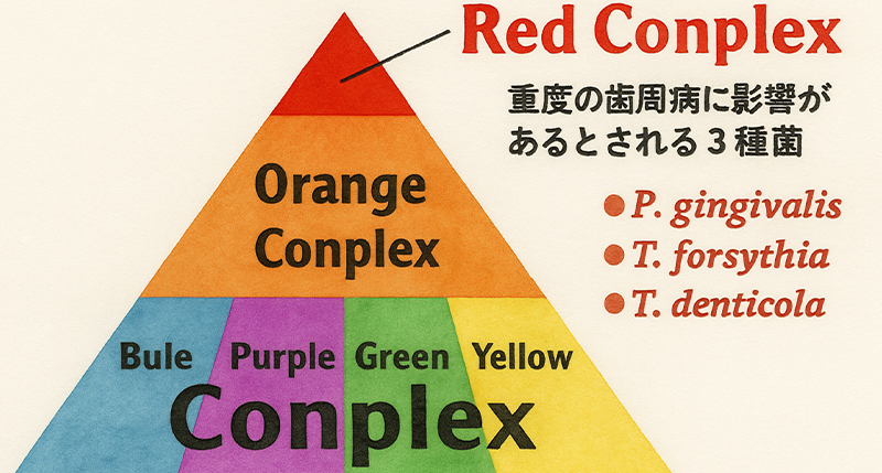 プラーク